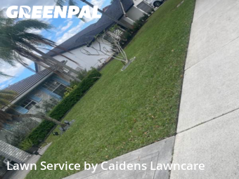 Lawn Carein Davie,33325,Lawn Cut by Caidens Lawncare , work completed in Feb , 2026