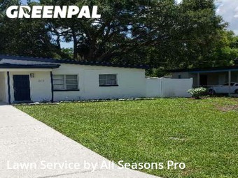 Grass Cutting nearby Tampa, FL, 