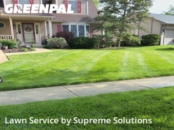 Grass Cuttingin Elgin,60123,Lawn Cutting by Supreme Solutions , work completed in Jun , 2026