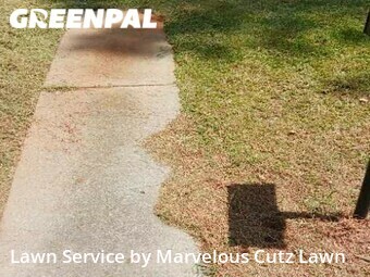 Yard Mowing nearby Columbia, SC, 