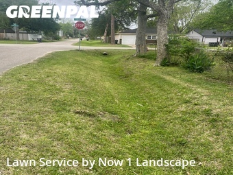 Lawn Cut nearby Alvin, TX, 