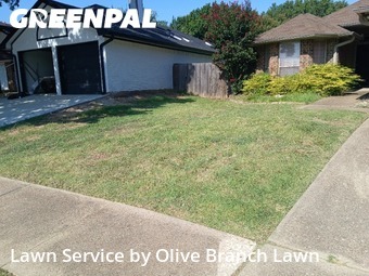Lawn Mowing Servicein Keller,76248,Lawn Mowing by Olive Branch Lawn, work completed in Nov , 2025