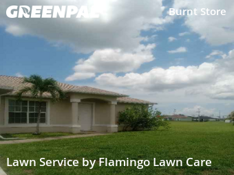 Lawn Mow nearby Cape Coral, FL, 