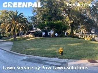 Lawn Cut nearby Ormond Beach, FL, 