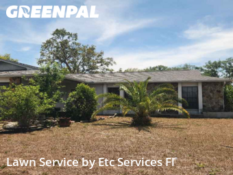 Yard Care in Bayonet Point, 34668, Yard Care Services by Etc Services Fl, work completed in Nov , 2025