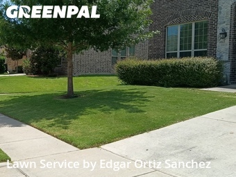 Lawn Mowing Service nearby Mc Kinney, TX, 
