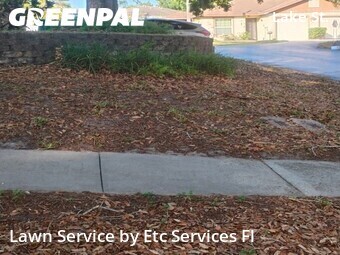 Yard Cuttingin Palm Harbor,34684,Lawn Mowing by Etc Services Fl, work completed in Jun , 2026