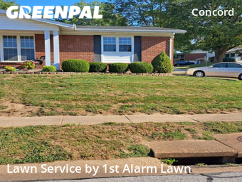 Lawn Mow nearby St. Louis, MO, 