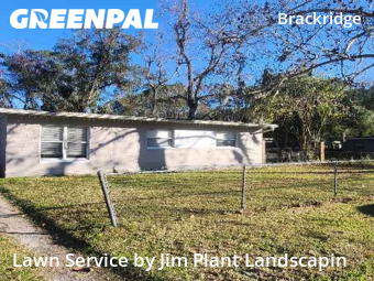 Lawn Cuttingin Jacksonville,32216,Lawn Maintenance by Jim Plant Landscapin, work completed in Feb , 2026
