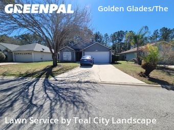 Lawn mowed in Jacksonville, 32246
