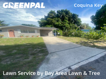 Lawn Maintenance nearby Saint Petersburg, FL, 