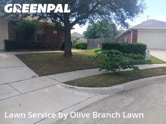 Lawn Maintenance nearby Haslet, TX, 