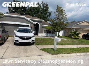 Lawn Cut nearby Hudson, FL, 