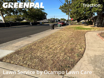 Grass Cutting nearby Sacramento, CA, 