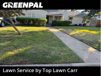 Grass Cutin Dallas,75209,Lawn Maintenance by Top Lawn Carr, work completed in Jan , 2026