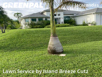 Lawn Cutting nearby Cape Coral, FL, 