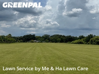 Lawn mowed in Dover, 33527