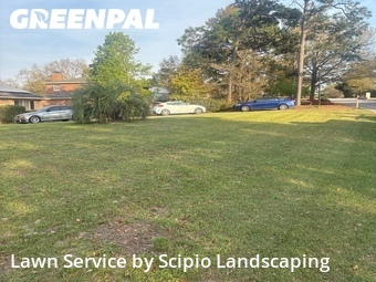 Grass Cut nearby Columbia, SC, 