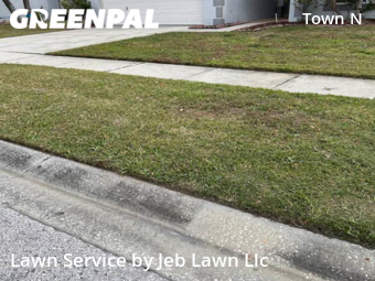 Lawn Care nearby Tampa, FL, 