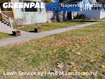 Grass Cut nearby Naperville, IL, 