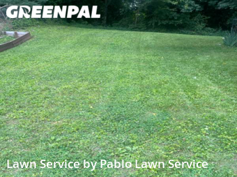 Lawn Mowing Service nearby Springfield, VA, 