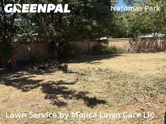 Lawn Cutting nearby Sacramento, CA, 