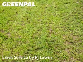 Yard Cutting nearby Leesburg, FL, 