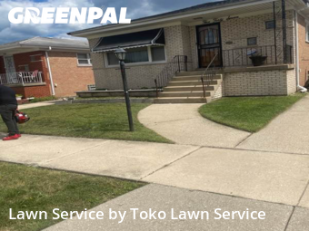 Lawn Cut nearby Calumet City, IN, 