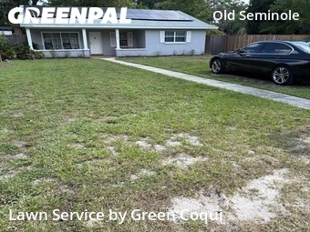 Grass Cut nearby Tampa, FL, 