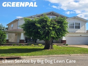 Lawn Cut nearby Mt. Juliet, TN, 