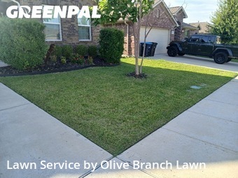 Yard Mowing nearby Fort Worth, TX, 