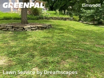 Grass Cut nearby Cincinnati, OH, 