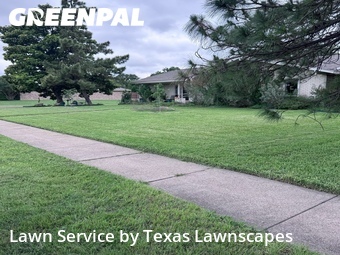 Lawn Mow nearby Richardson, TX, 