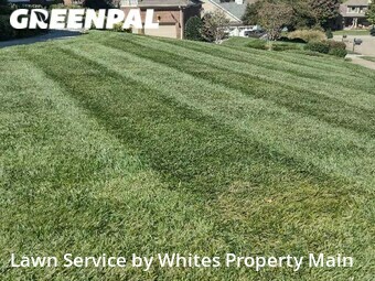 Lawn Cut nearby Knoxville, TN, 