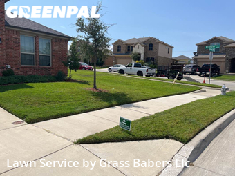 Grass Cut nearby Haslet, TX, 