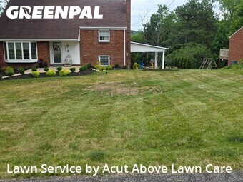 Grass Cut nearby Pittsburgh, PA, 