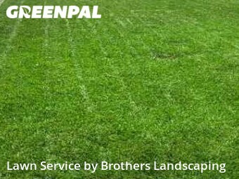 Lawn Cut nearby Newark, DE, 