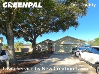 Grass Cutting nearby Valrico, FL, 