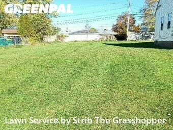 Lawn Mowing Service nearby Maple Heights, OH, 