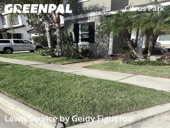 Lawn Cutting nearby Tampa, FL, 