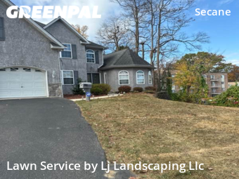 Yard Grooming in Upper Darby, 19018, Landscaping Maintenance by Lj Landscaping Llc, work completed in Oct , 2025