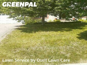 Lawn Care nearby Osseo, MN, 