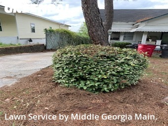 Lawn Mowing nearby Macon, GA, 