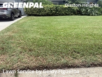 Grass Cut nearby St. Petersburg, FL, 