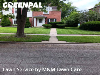 Grass Cutting nearby Munster, IL, 