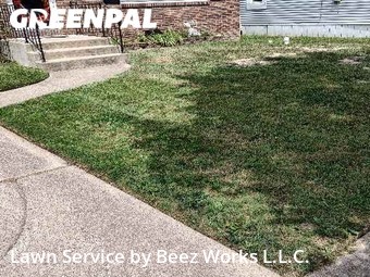 Lawn Mowing nearby Lancaster, NY, 