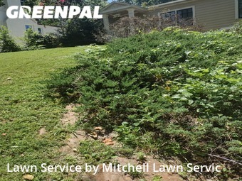 Lawn Cut nearby Atlanta, GA, 