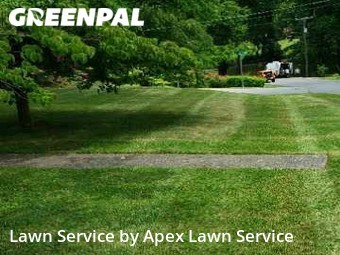 Lawn Cut nearby Johnson City, TN, 