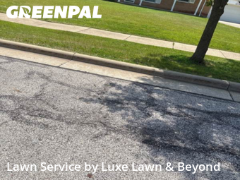 Yard Services in Solon, 44139, Weed Trimming by Luxe Lawn & Beyond, work completed in Nov , 2025