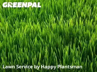 Yard Grooming in Washington Township, 45458, Yard Work by Happy Plantsman, work completed in Nov , 2025